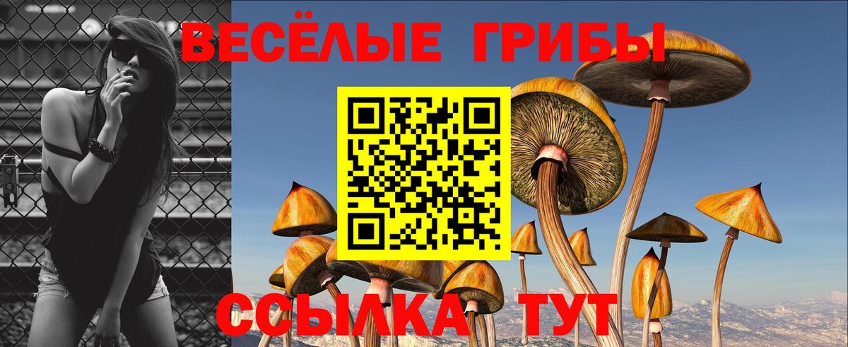 Черногорск  Псилоцибиновые грибы мухоморы  Вход с VPN 